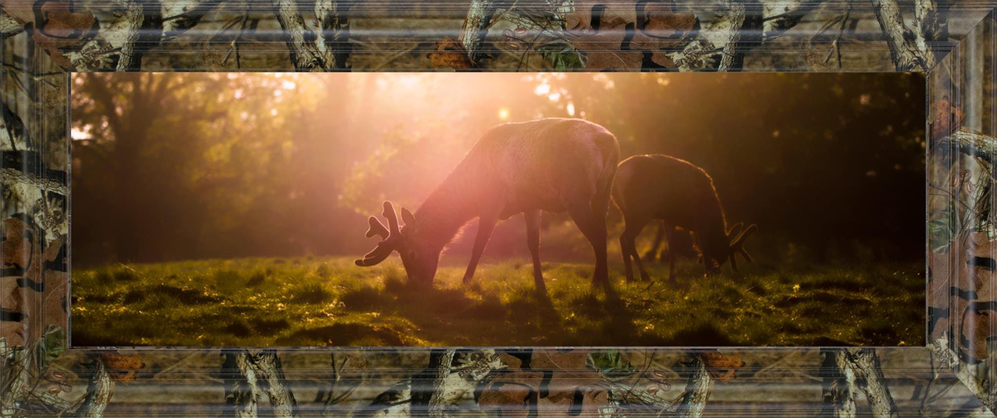 Morning Haze Morning Haze - Image 1