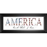 America Land That I Love