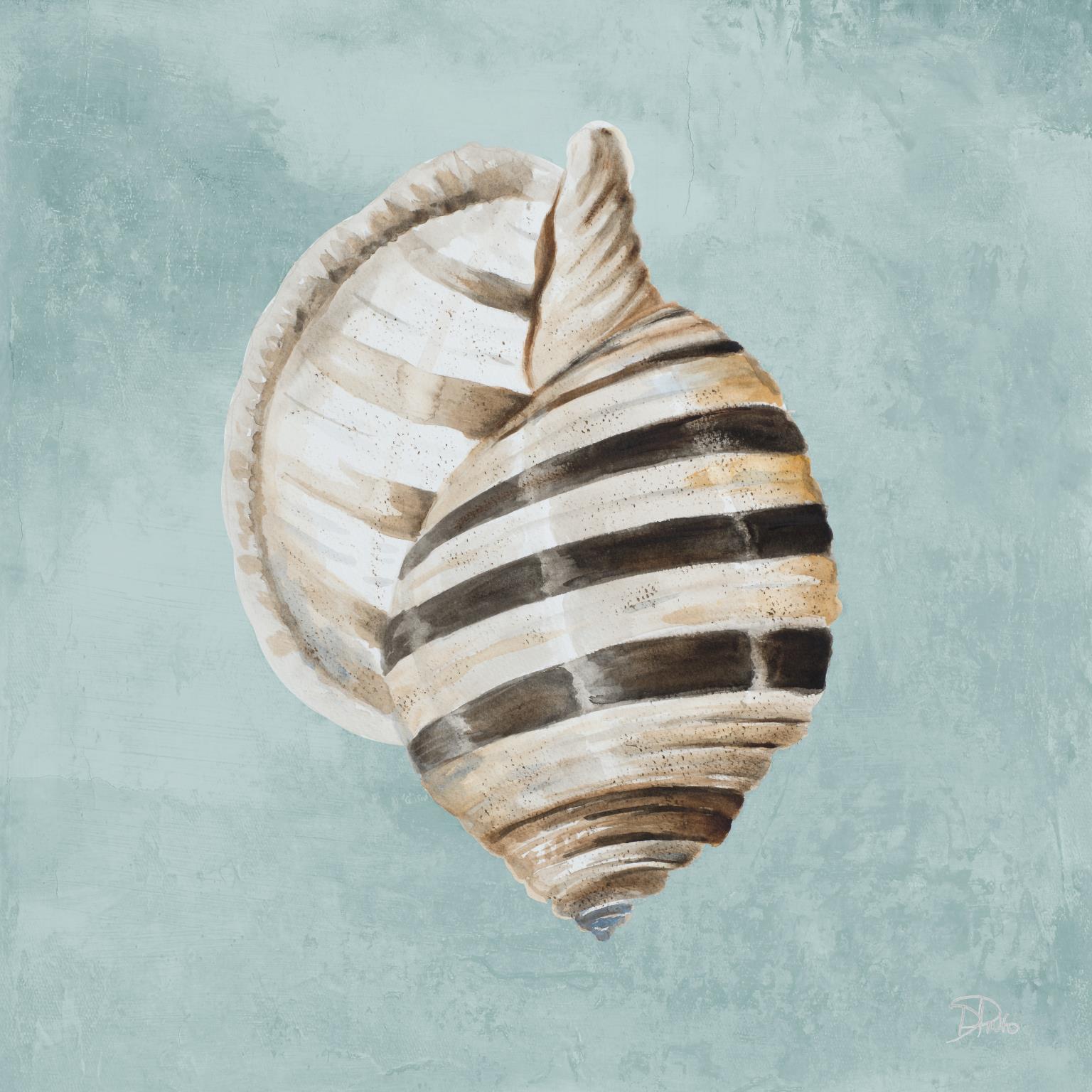 Modern Shell On Teal I Modern Shell On Teal I - Image 1
