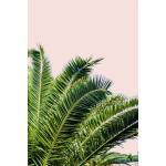 Tropical Leaves on Blush I