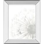 Dandelion Whisper II