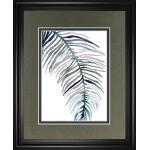 Blue Feathered Palm II