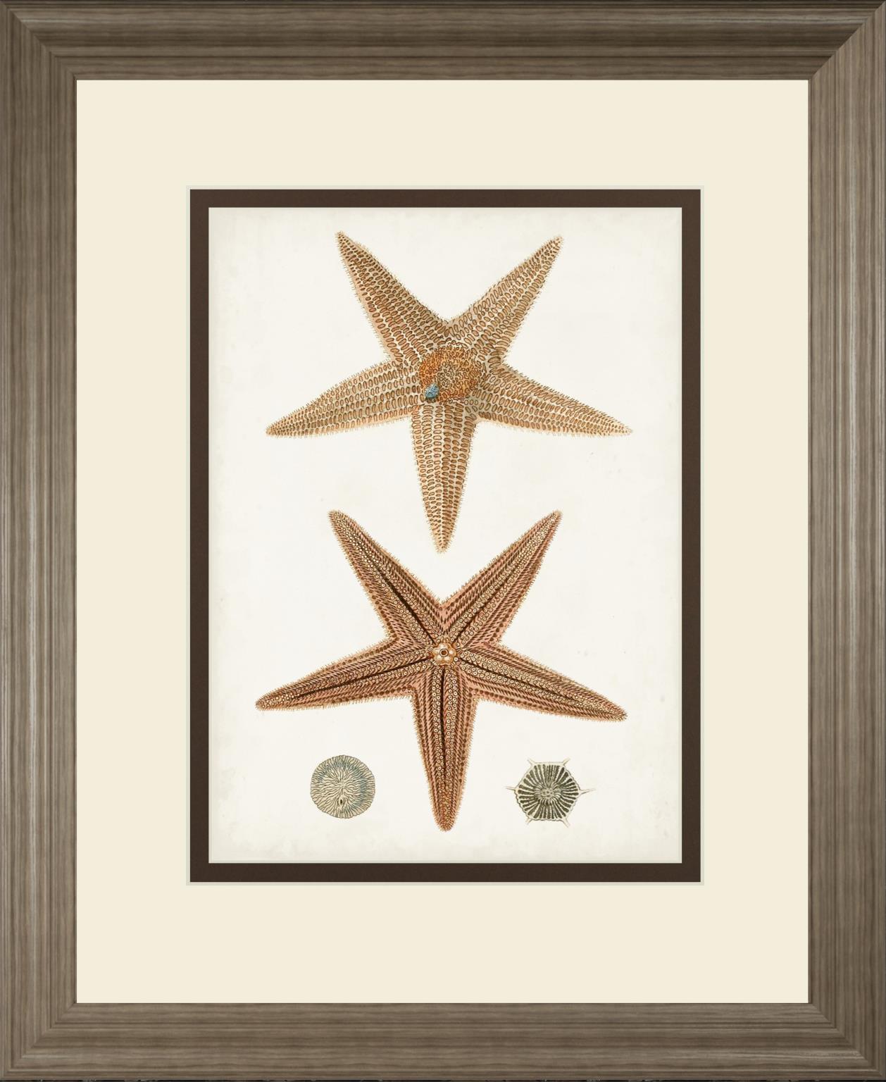 Coastal Curiosity I Coastal Curiosity I - Image 1