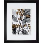 Holly Shadow I