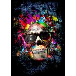 Temp Glass w/Foil -Color me Skull