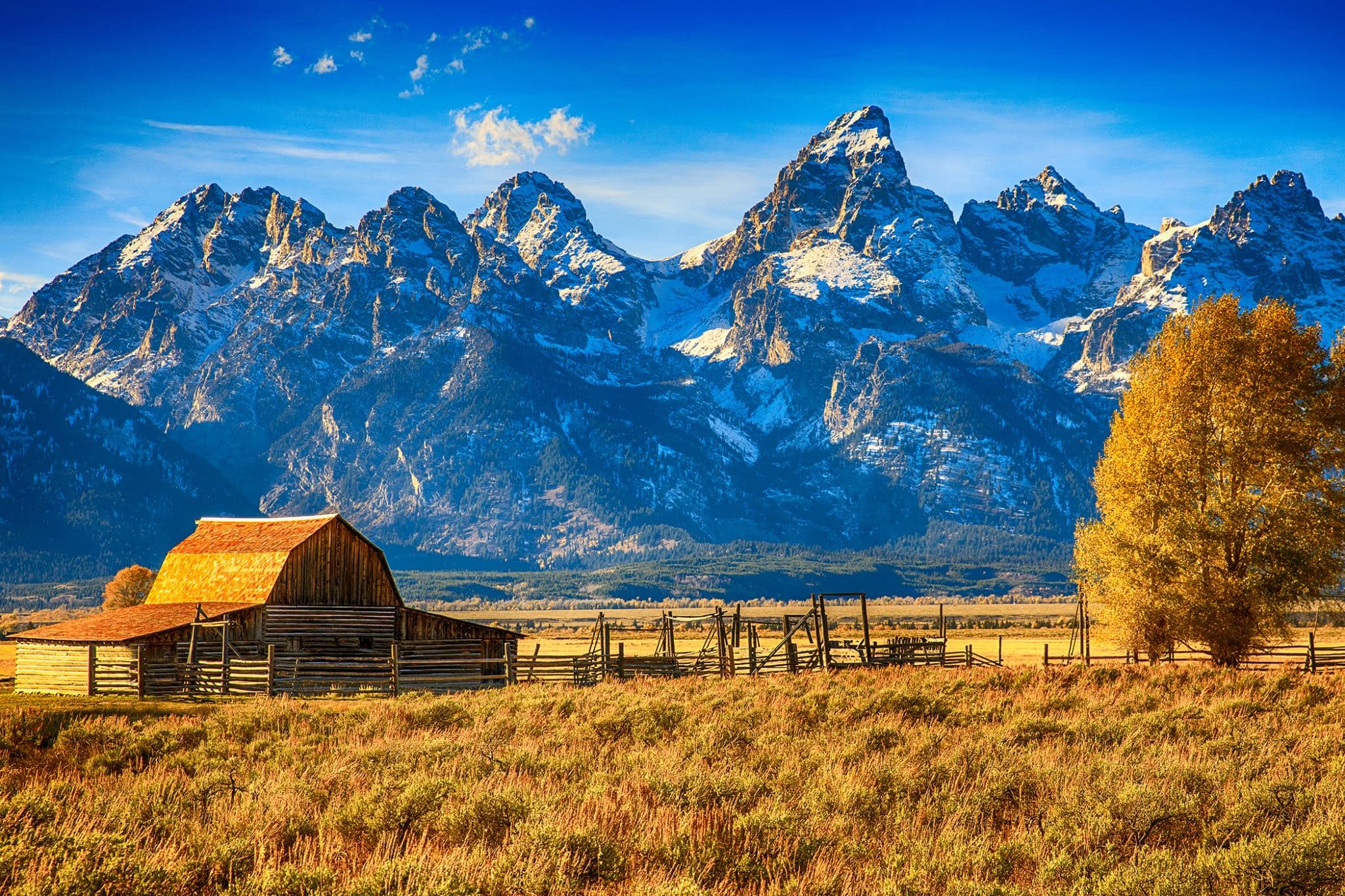 Temp Glass w/ Foil – Mountainous Barn Temp Glass w/ Foil – Mountainous Barn - Image 1