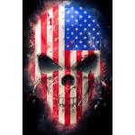Temp Glass w/ Foil – American Skull