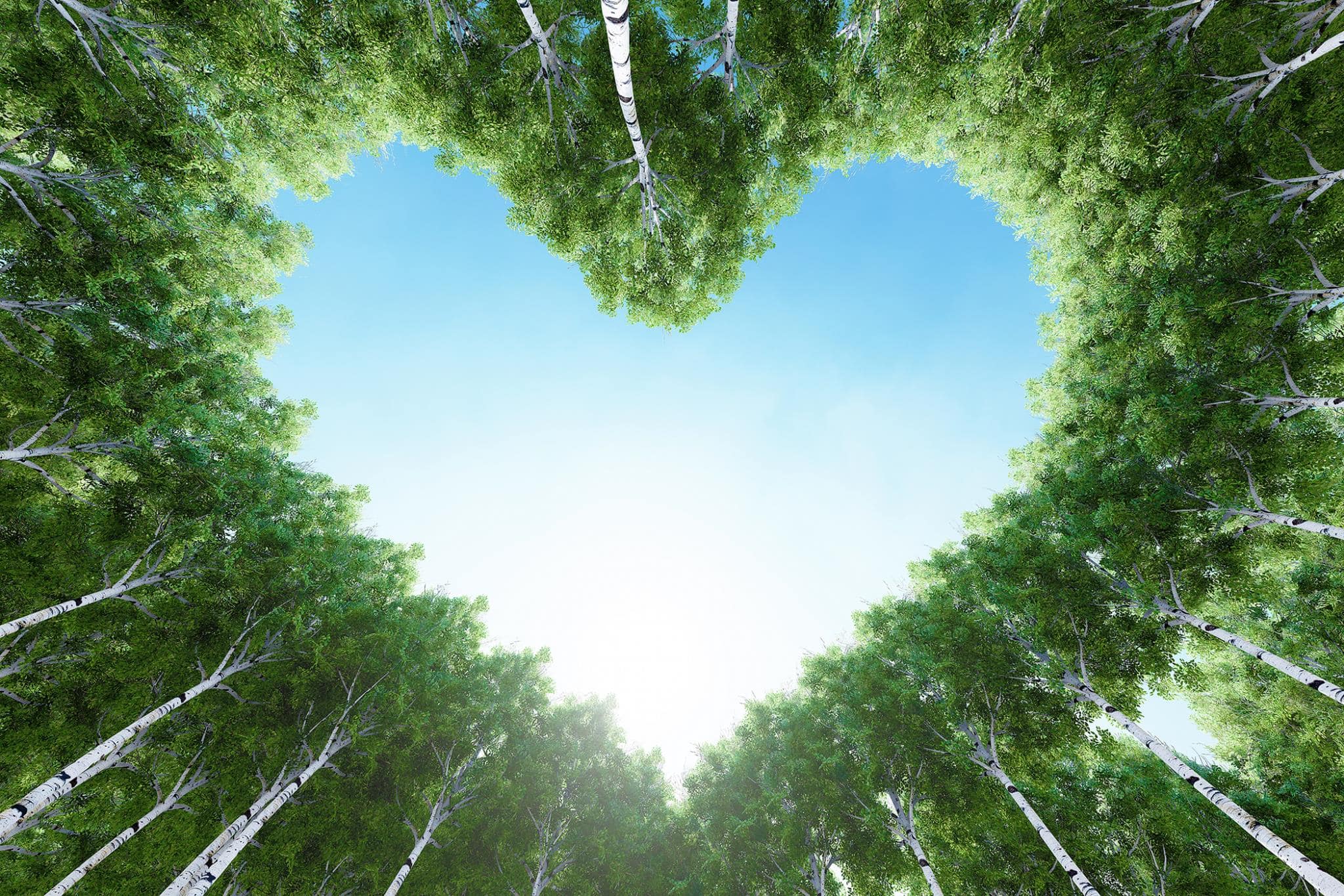 Temp Glass w/ Foil – For the Love of Trees Temp Glass w/ Foil – For the Love of Trees - Image 1