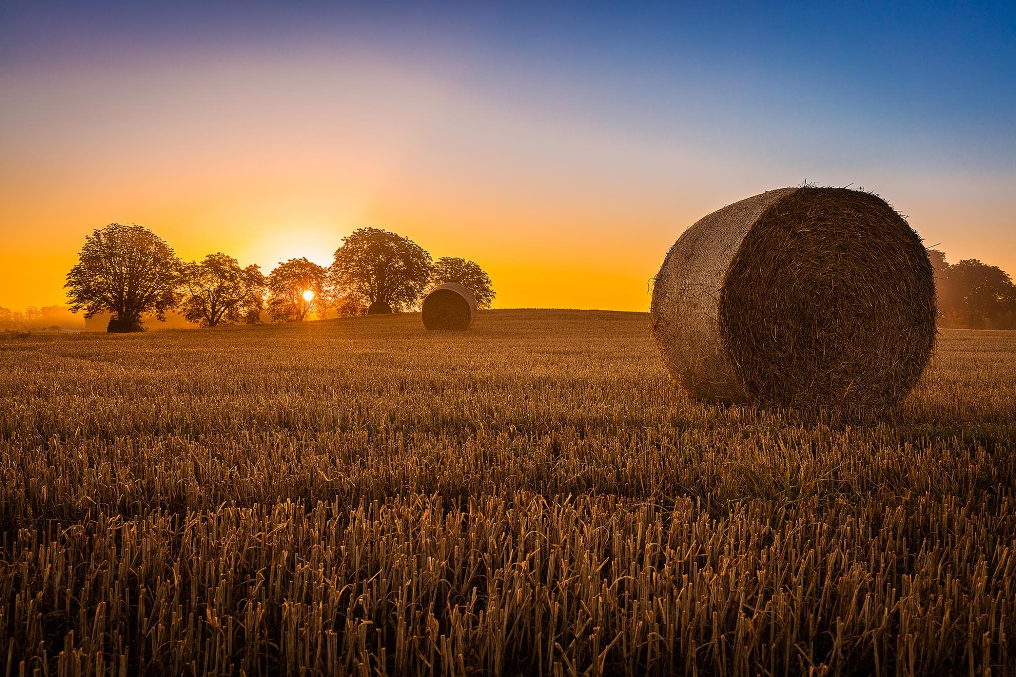 Temp Glass w/ Foil – Hay Bale Temp Glass w/ Foil – Hay Bale - Image 1